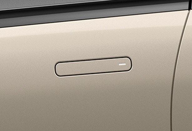 Tata Altroz Premium Flush Door Handles